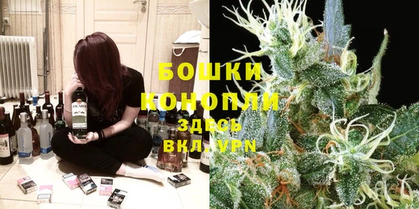 индика Богородицк