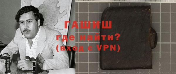 индика Богородицк