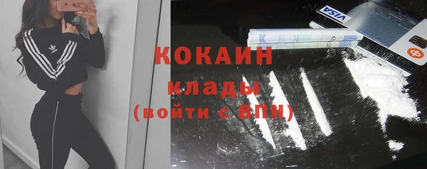 метадон Богданович