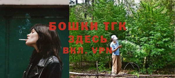индика Богородицк