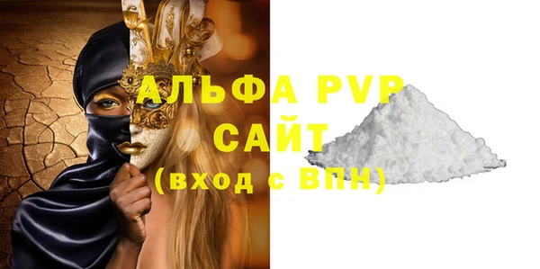 индика Богородицк