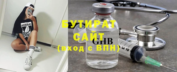 индика Богородицк
