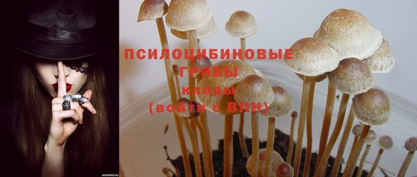 метадон Богданович