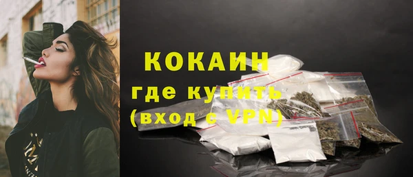 метадон Богданович