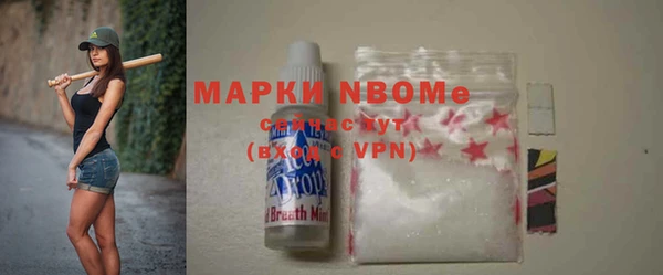 индика Богородицк