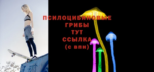 метадон Богданович