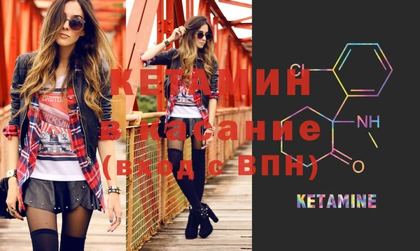 индика Богородицк