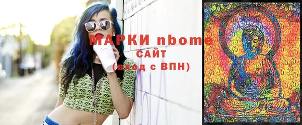 индика Богородицк