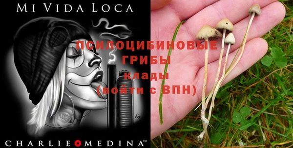 метадон Богданович