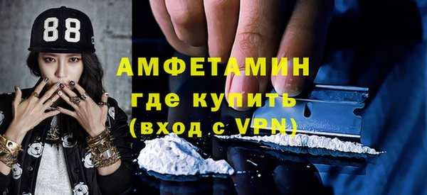 метадон Богданович