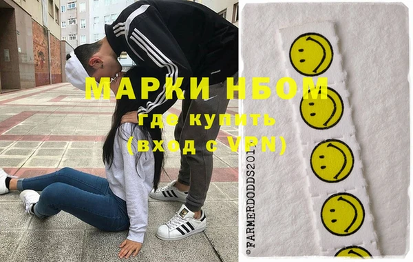 индика Богородицк