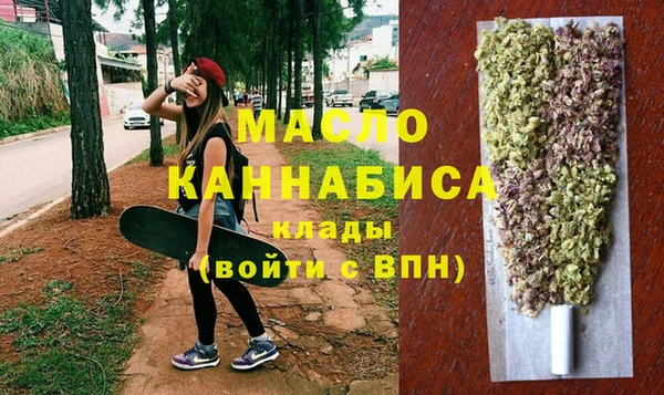 индика Богородицк