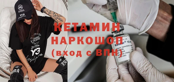 индика Богородицк