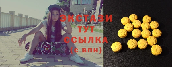 индика Богородицк
