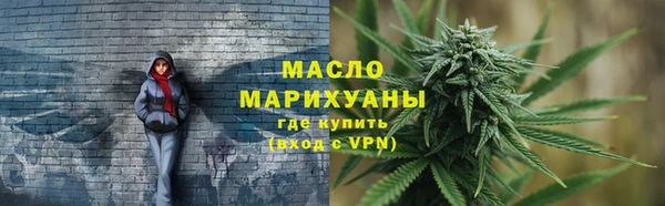 индика Богородицк