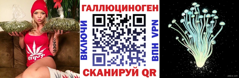Псилоцибиновые грибы Psilocybe  даркнет наркотические препараты  Новокузнецк  даркнет сайт 